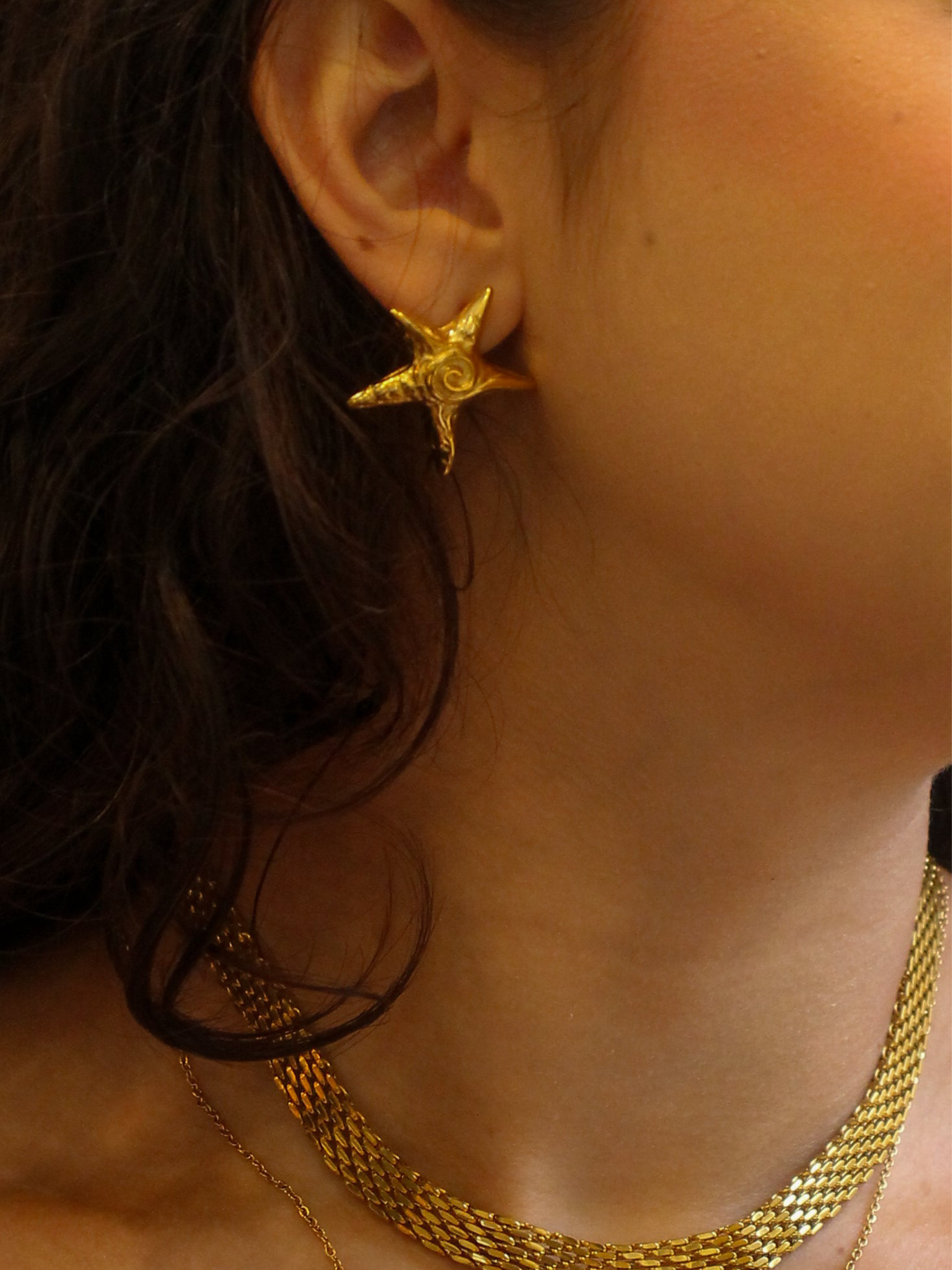 Brinco Veyrion - Banhado a Ouro 18K