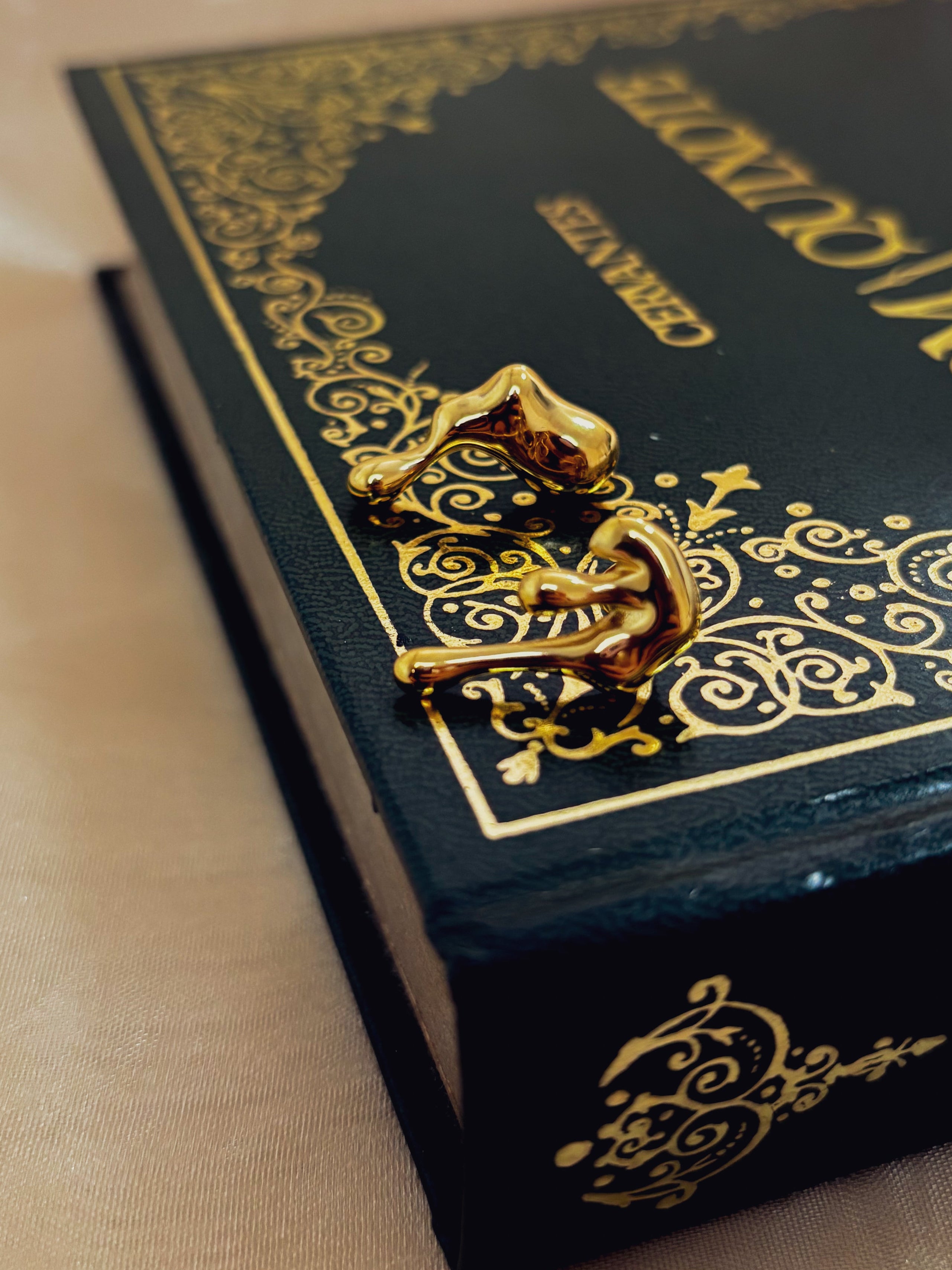 Brinco Lytherra - Banhado a Ouro 18K