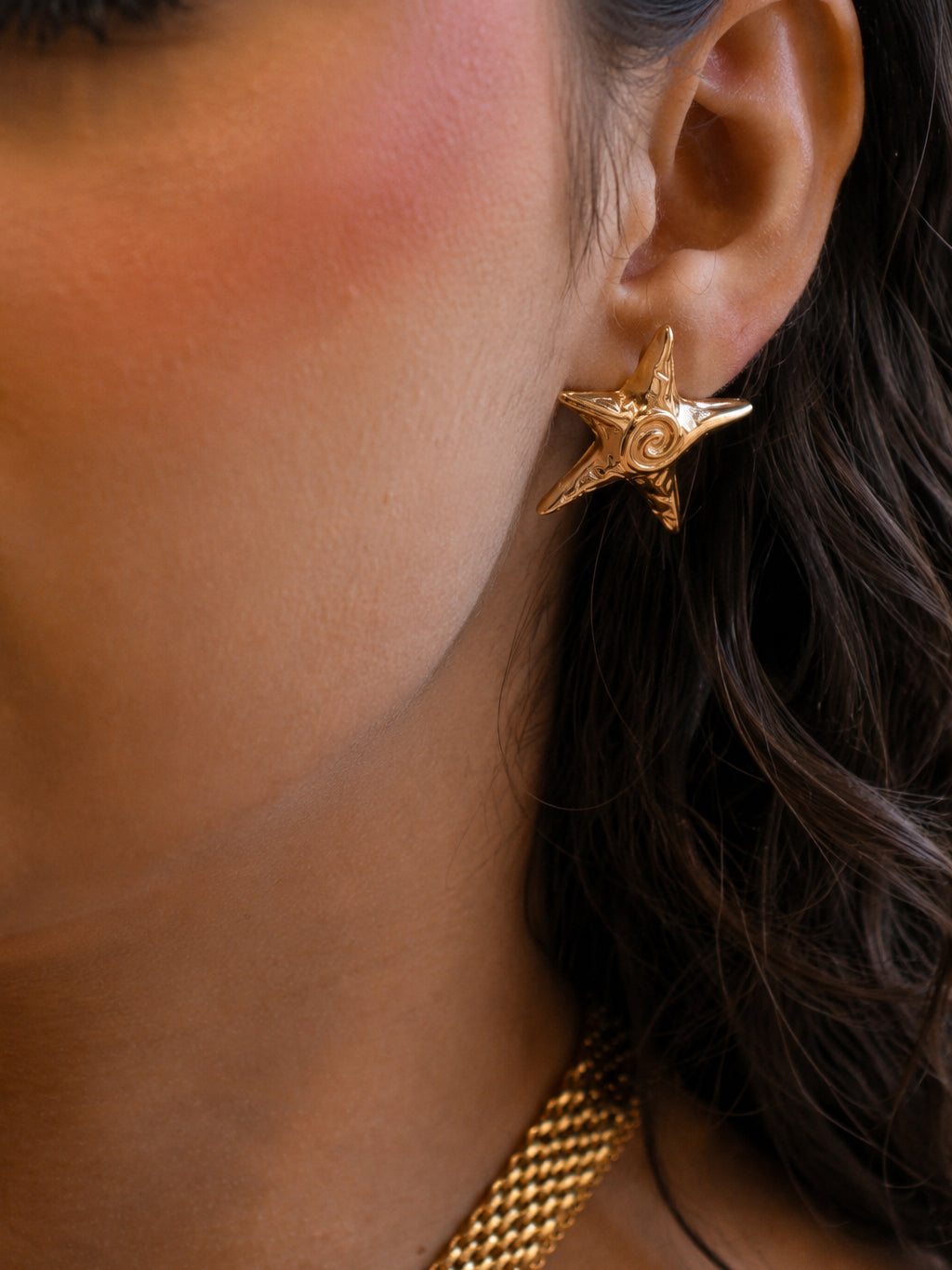 Brinco Veyrion - Banhado a Ouro 18K