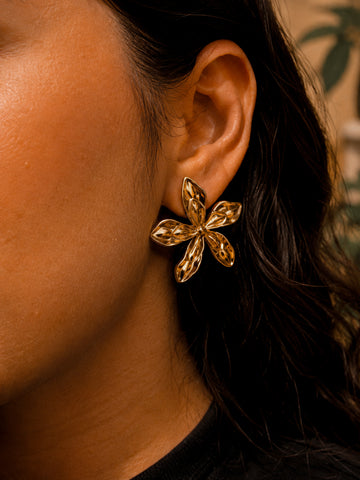 Brinco Lindy - Banhado a Ouro 18K