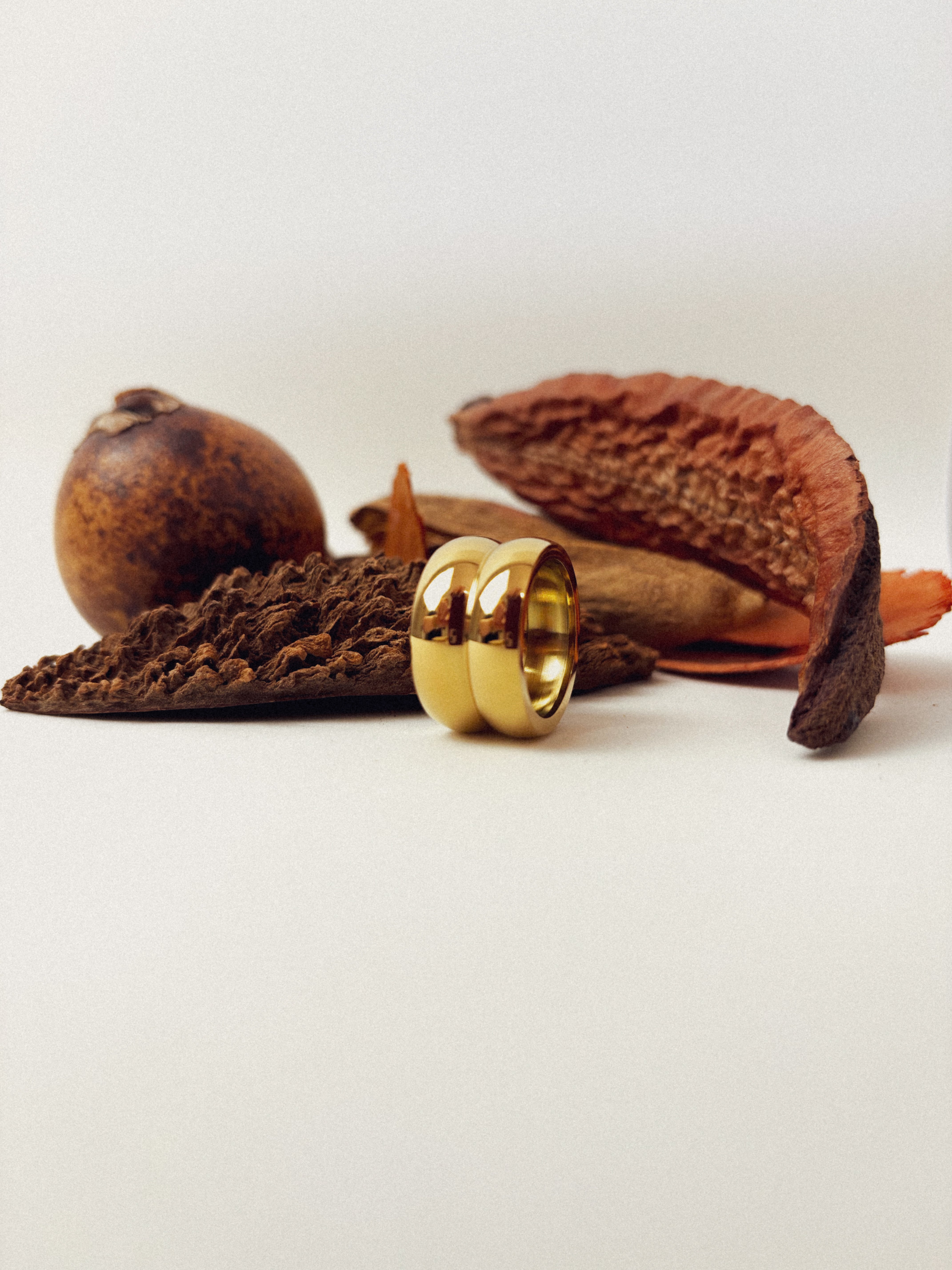 Anel Nivorys - Banhado a Ouro 18K