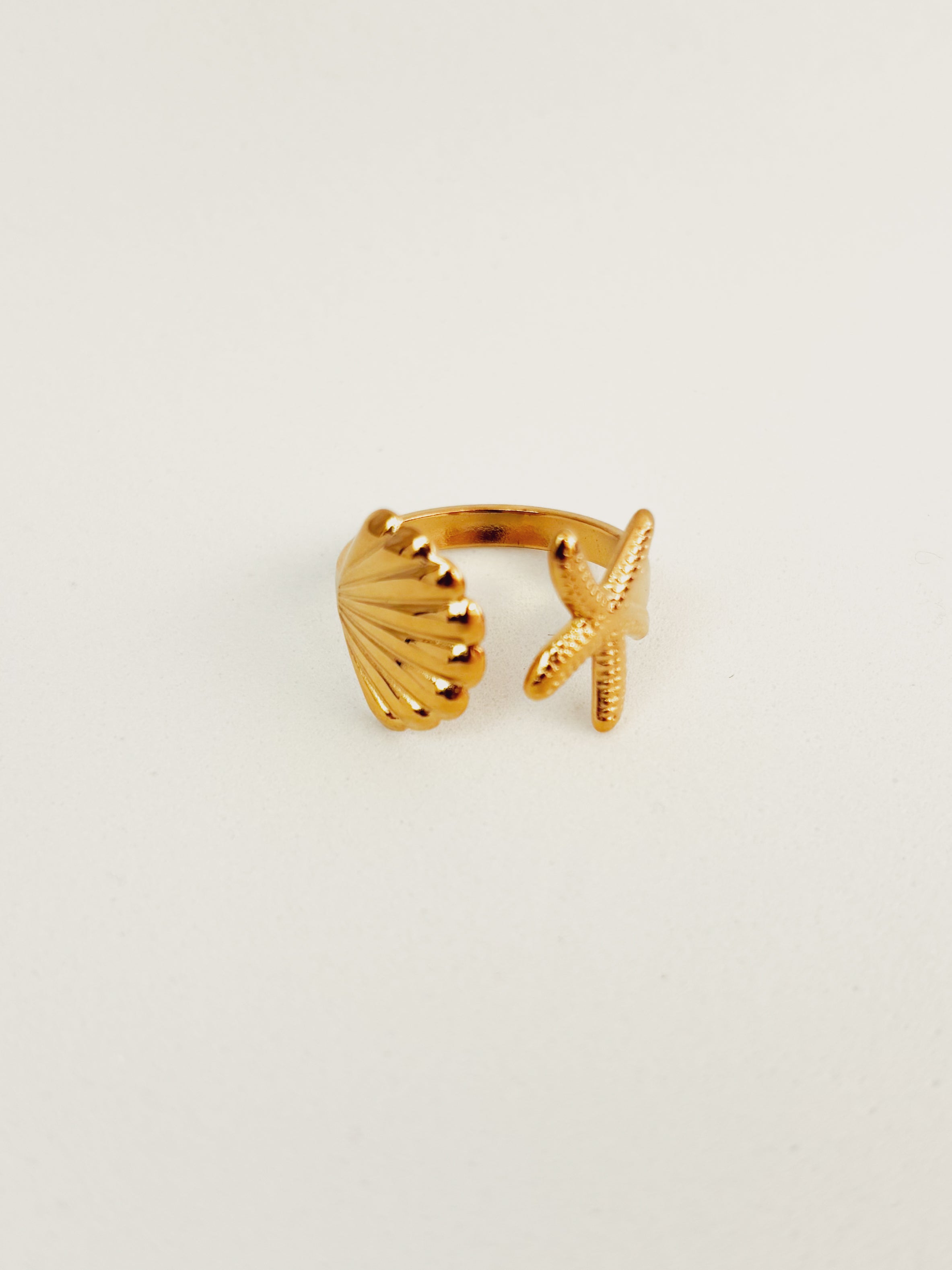 Anel Elvoryn - Banhado a Ouro 18K