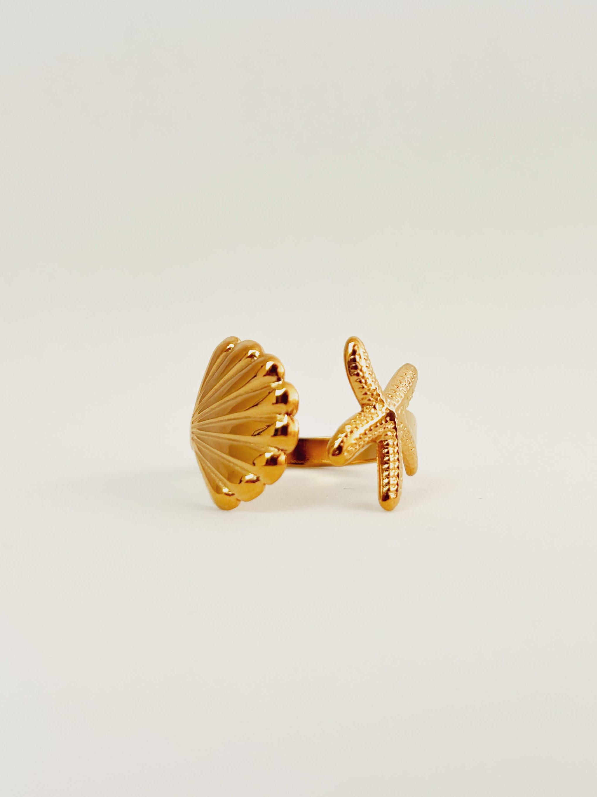 Anel Elvoryn - Banhado a Ouro 18K