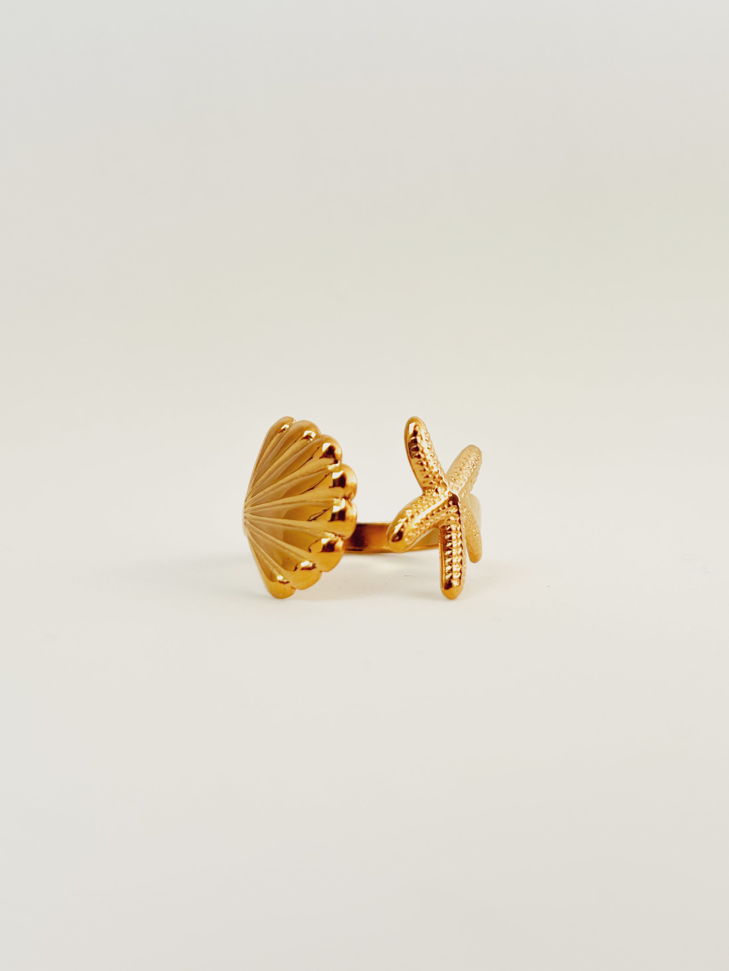 Anel Elvoryn - Banhado a Ouro 18K