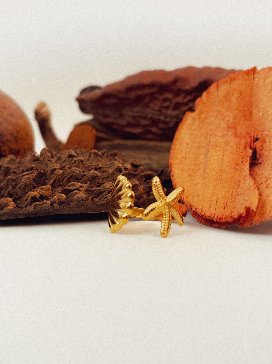 Anel Elvoryn - Banhado a Ouro 18K