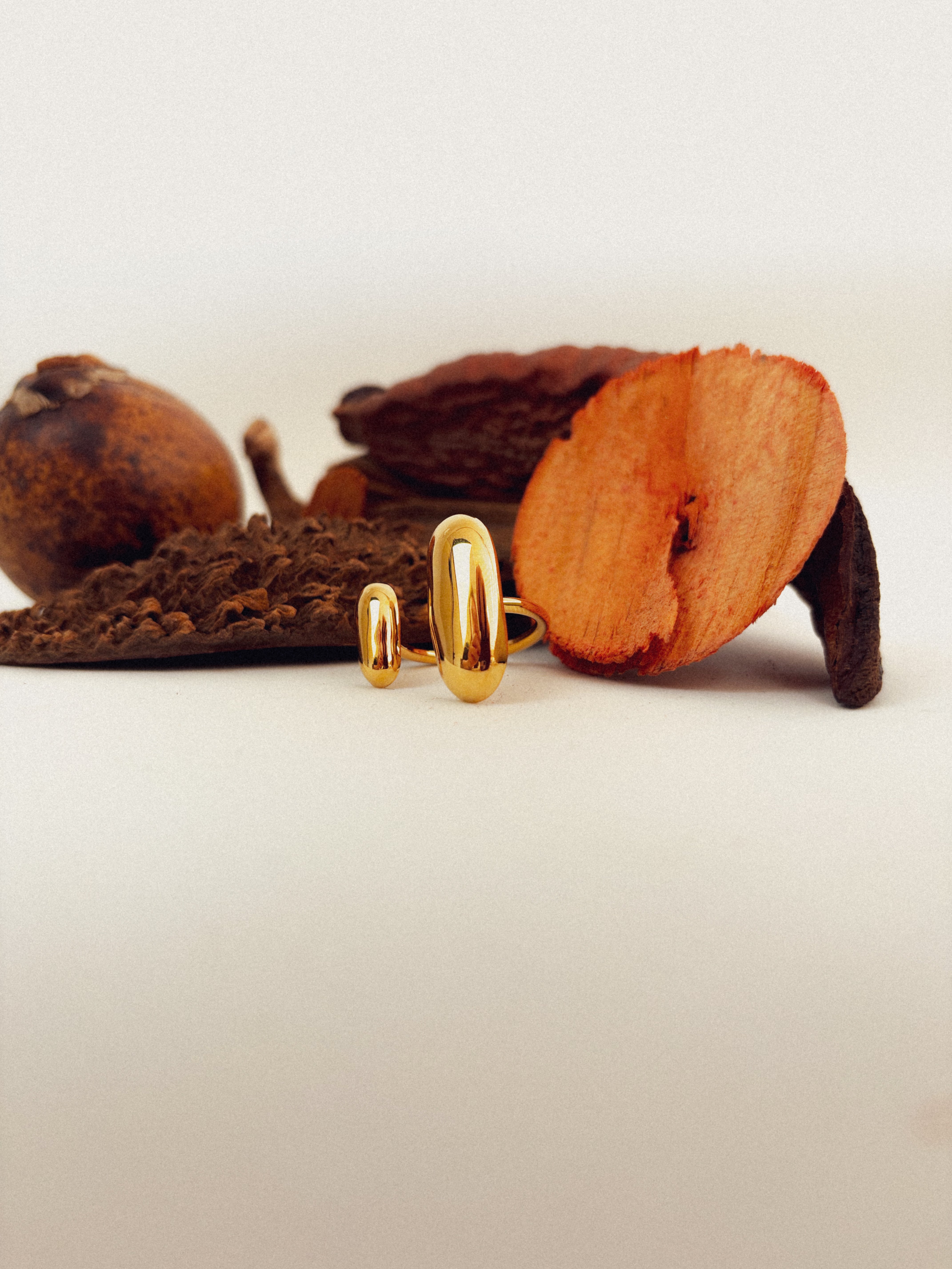Anel Serenne - Banhado a Ouro 18K