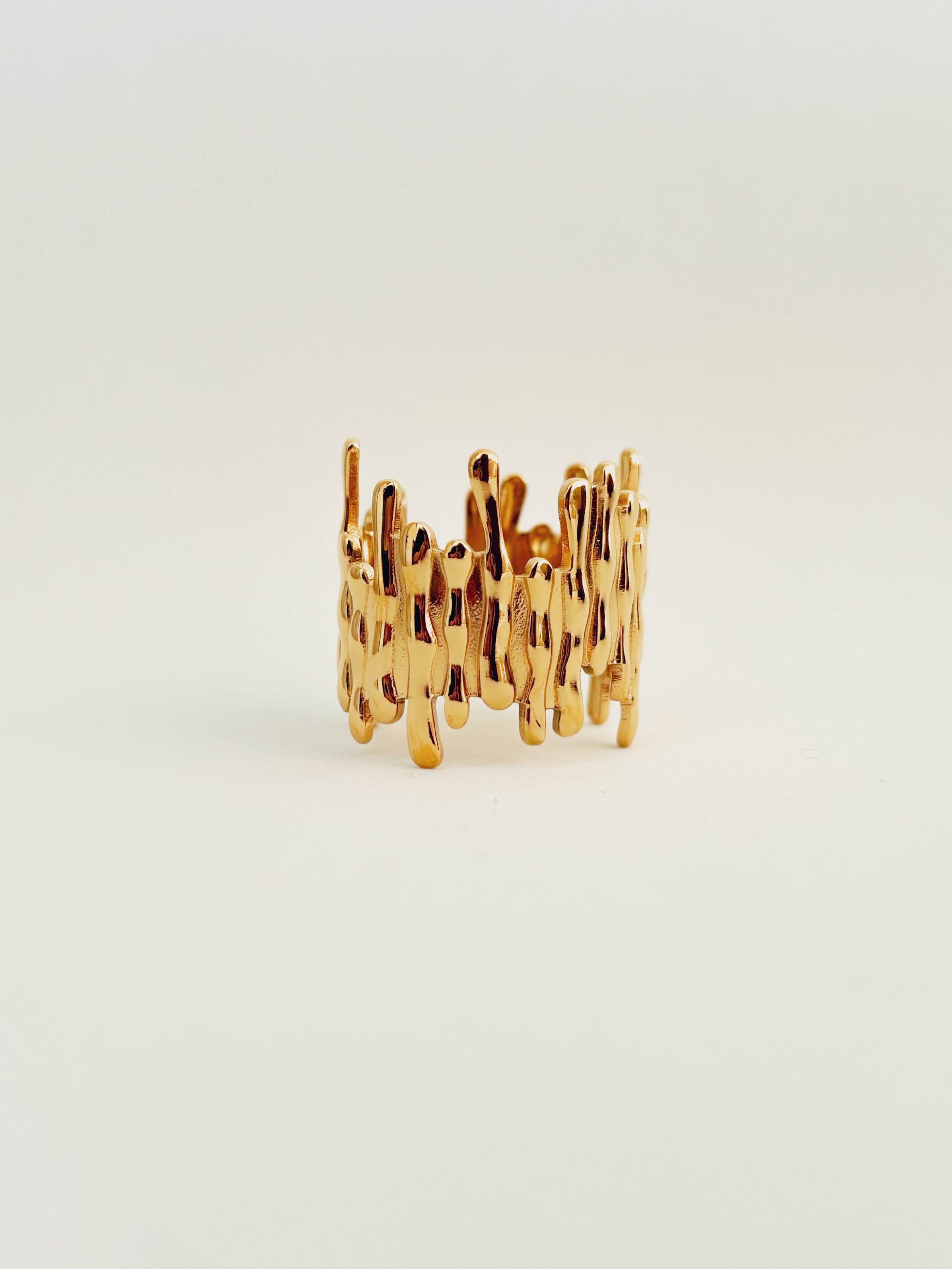 Anel Aerionne - Banhado a Ouro 18K