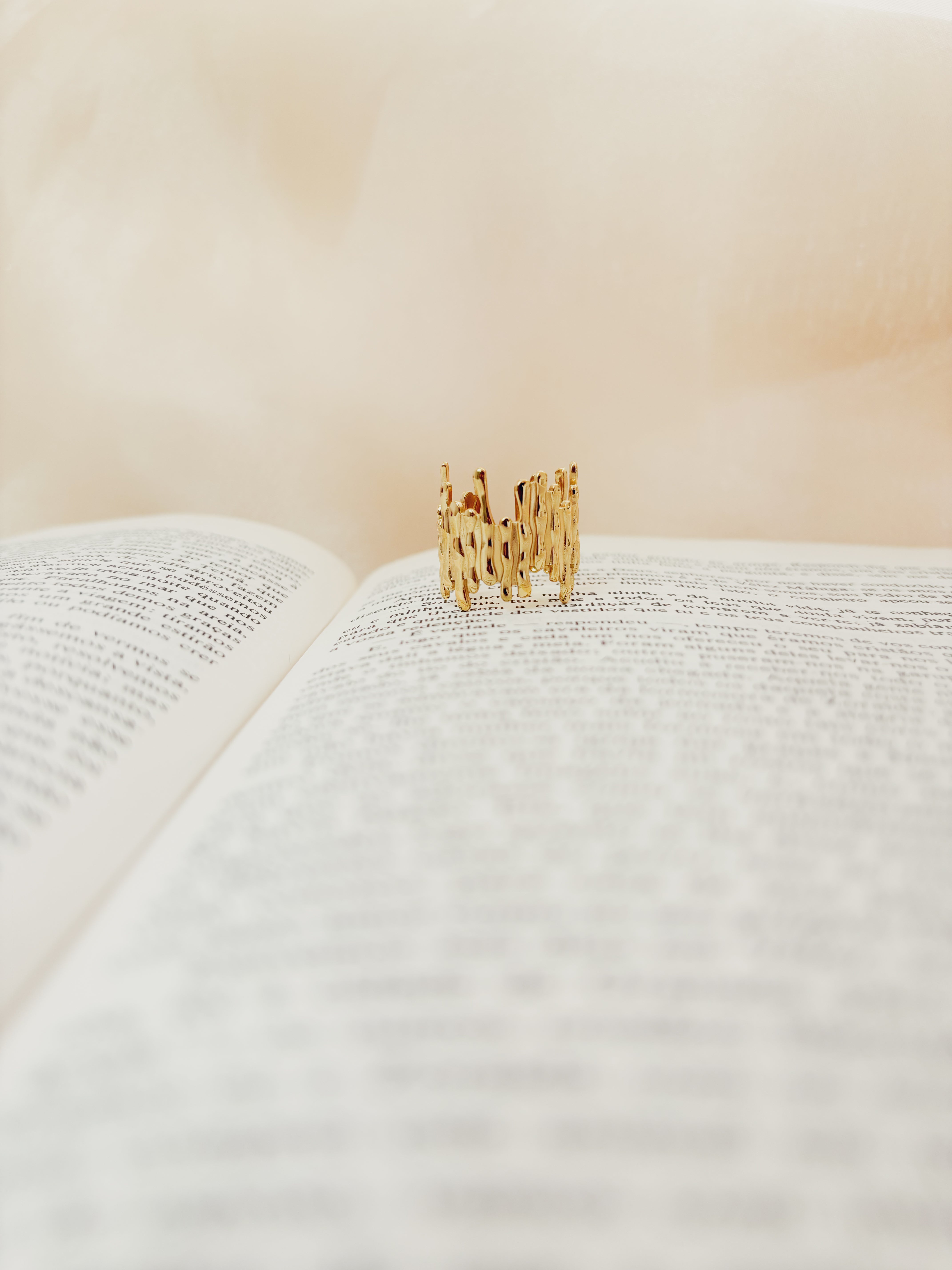 Anel Aerionne - Banhado a Ouro 18K