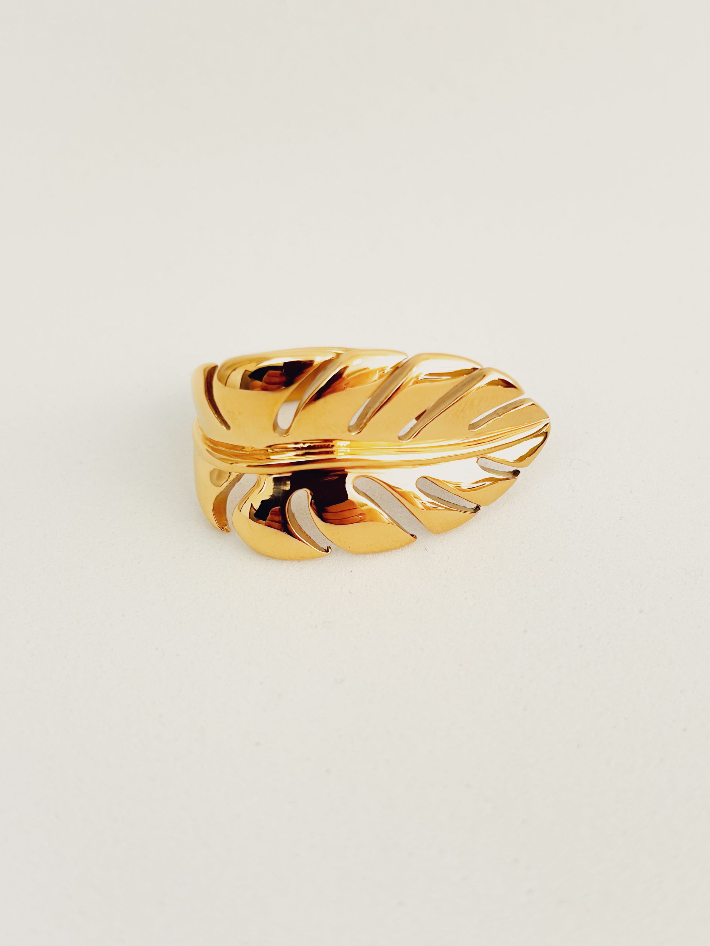 Anel Frorallis - Banhado a Ouro 18K