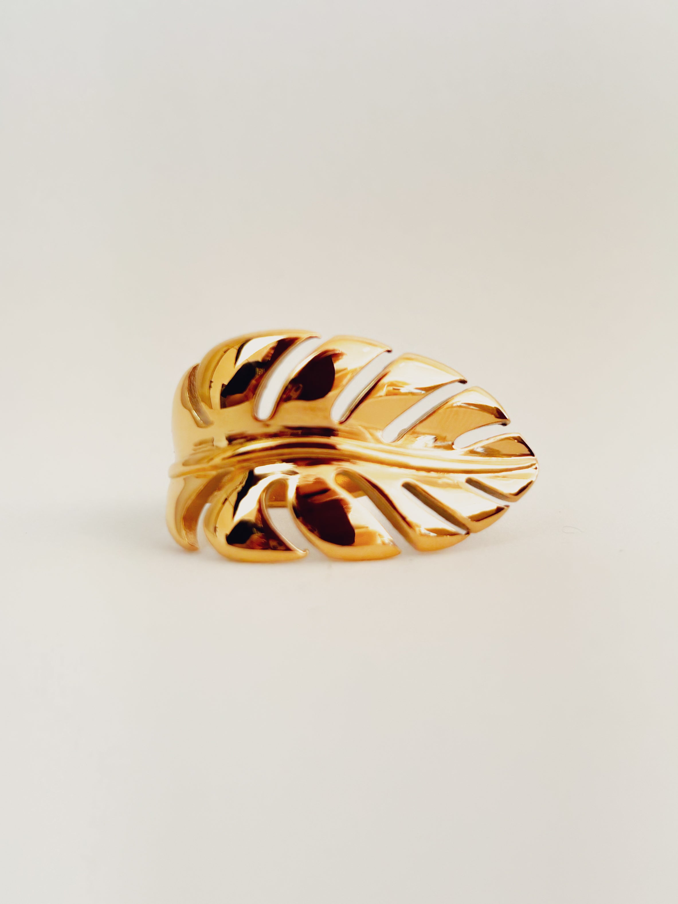 Anel Frorallis - Banhado a Ouro 18K