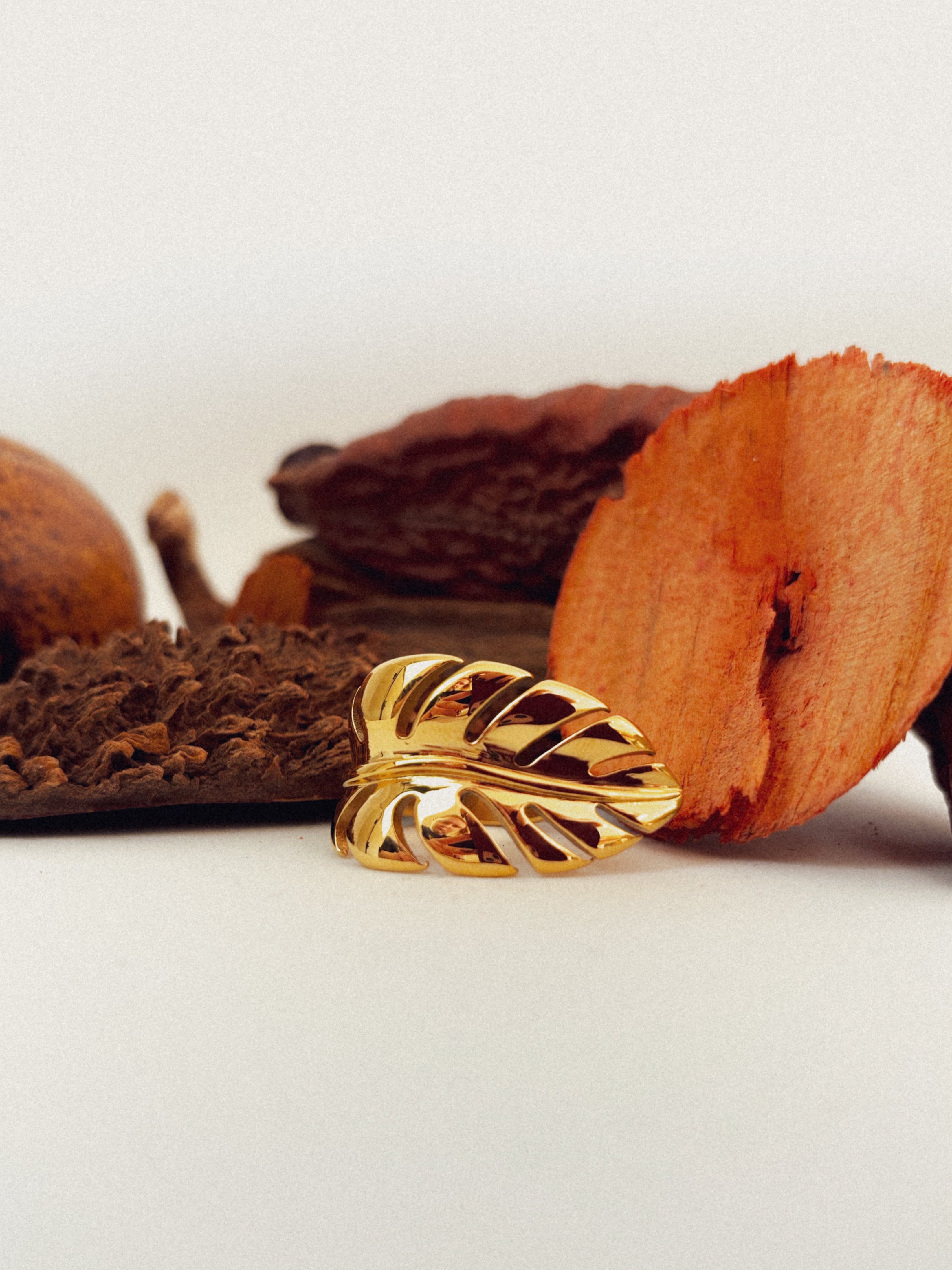 Anel Frorallis - Banhado a Ouro 18K
