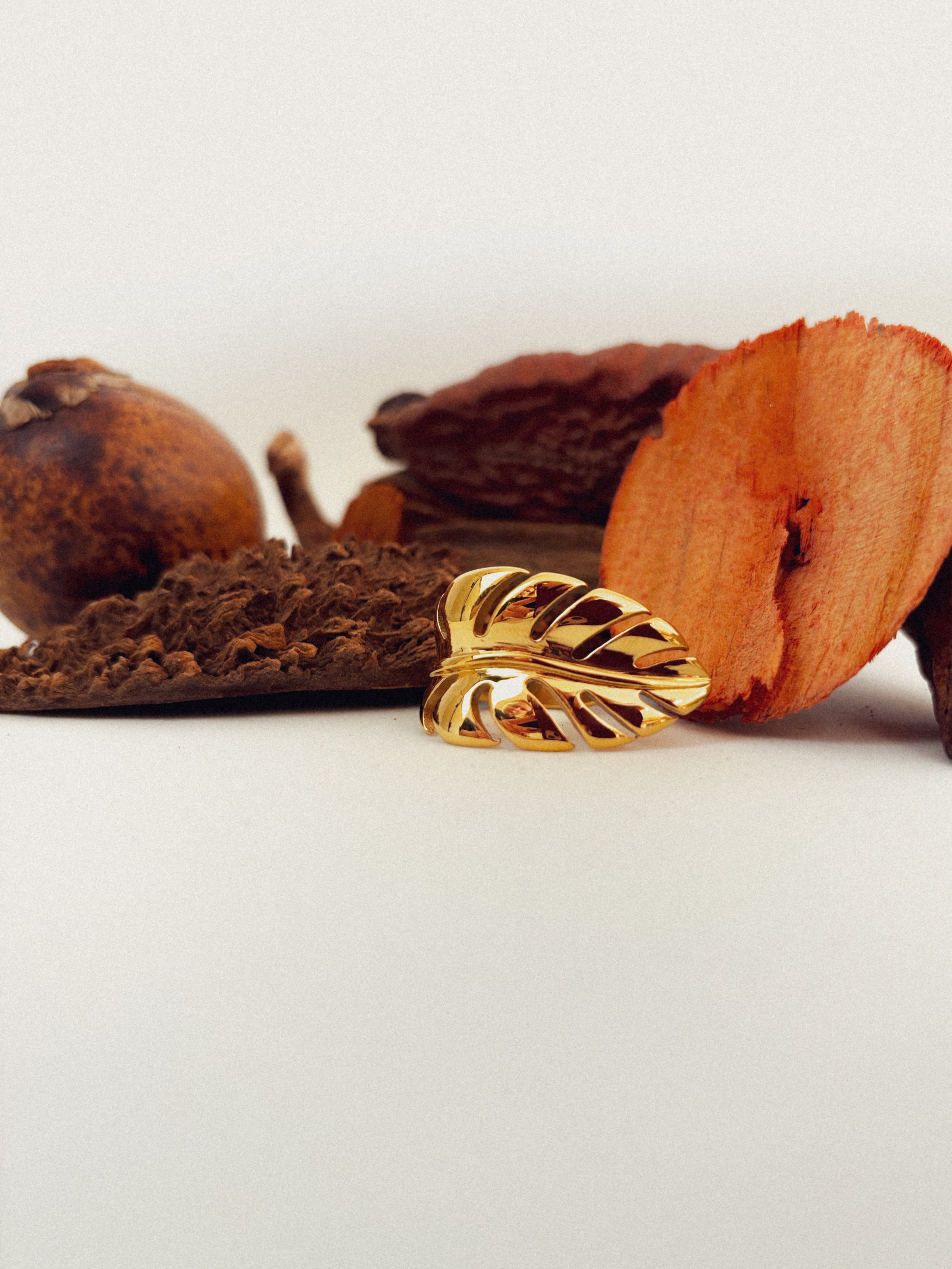 Anel Frorallis - Banhado a Ouro 18K