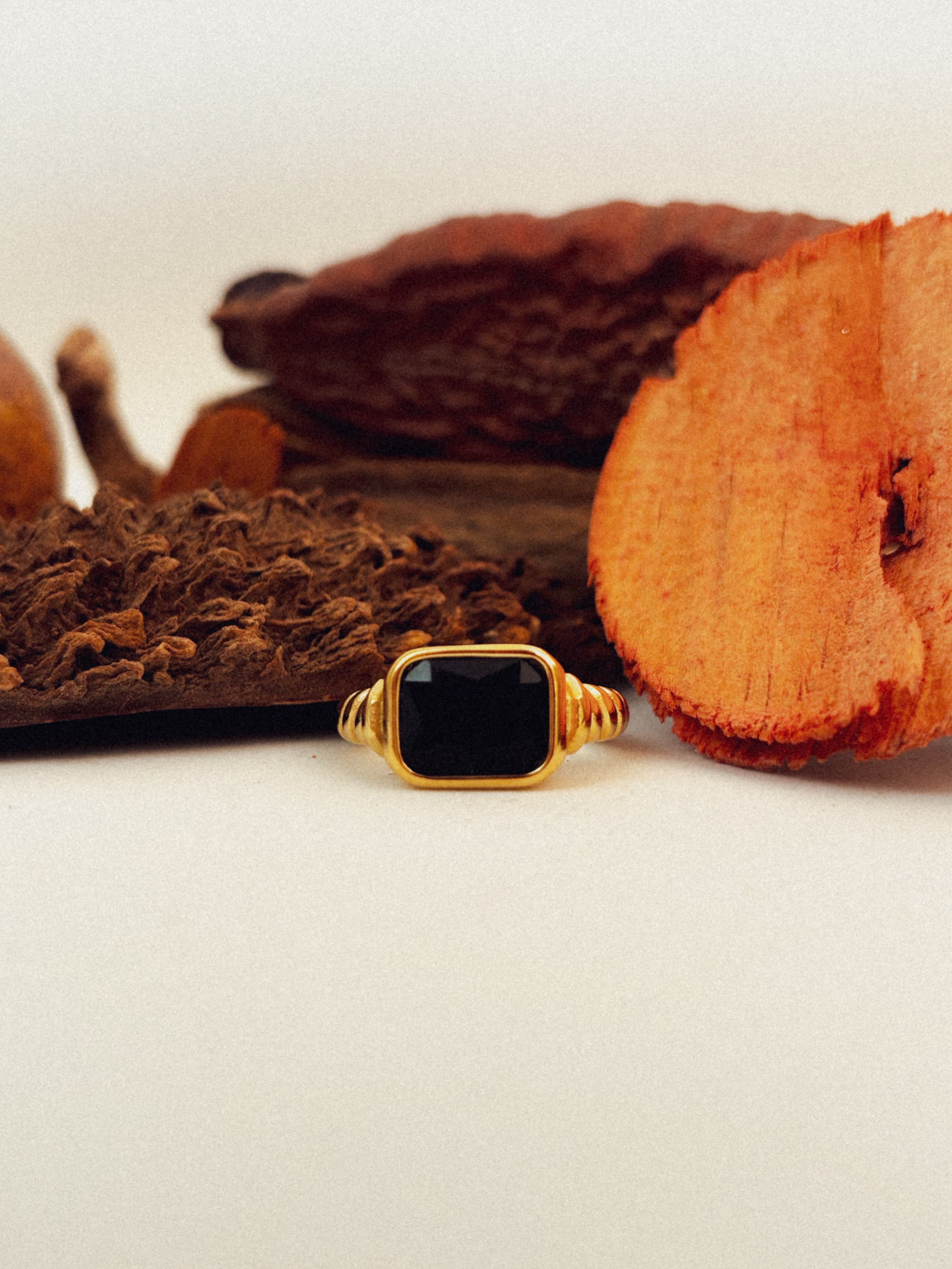 Anel Astoris Preto - Banhado a Ouro 18K