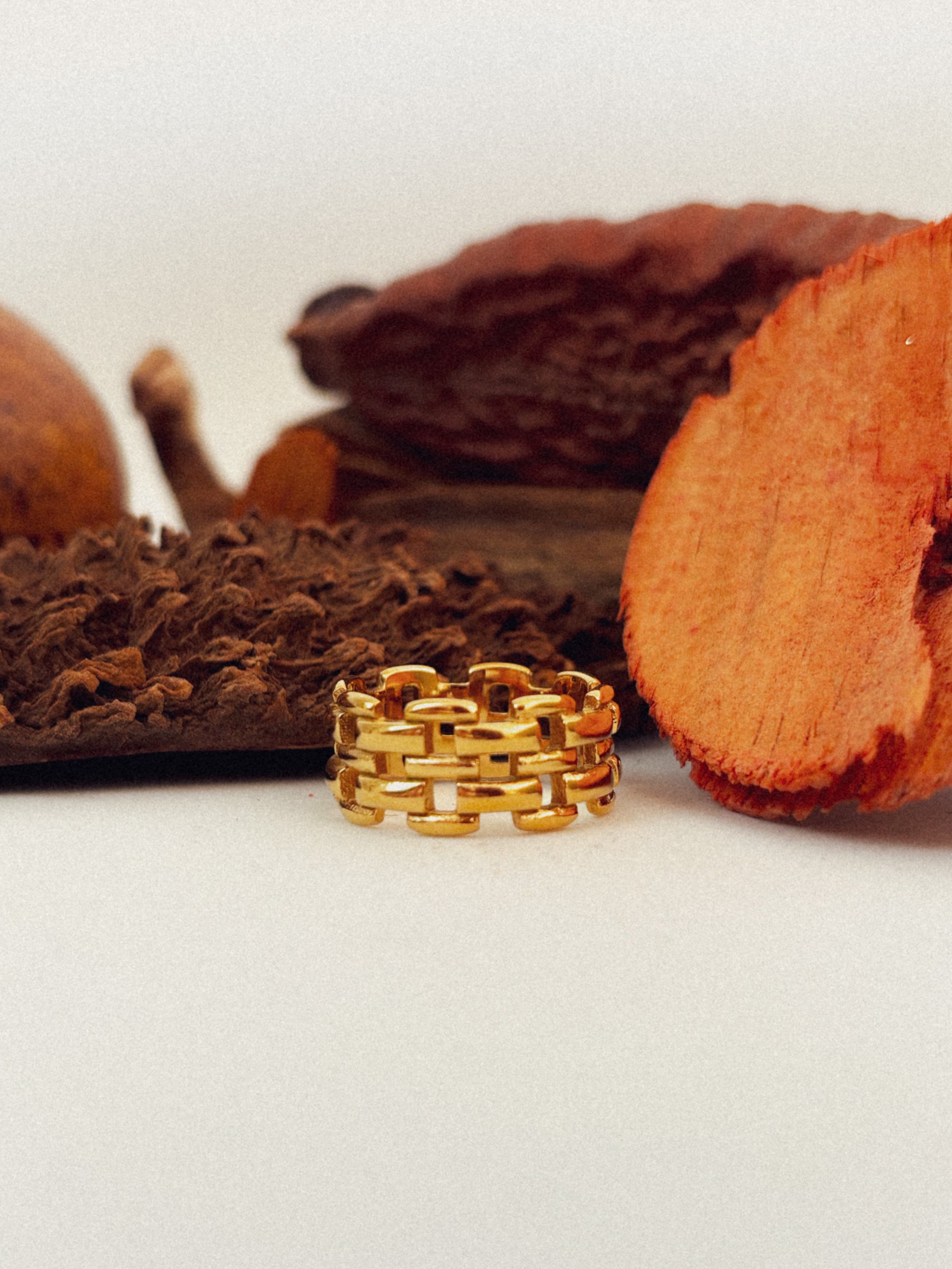 Anel Phylaren - Banhado a Ouro 18K