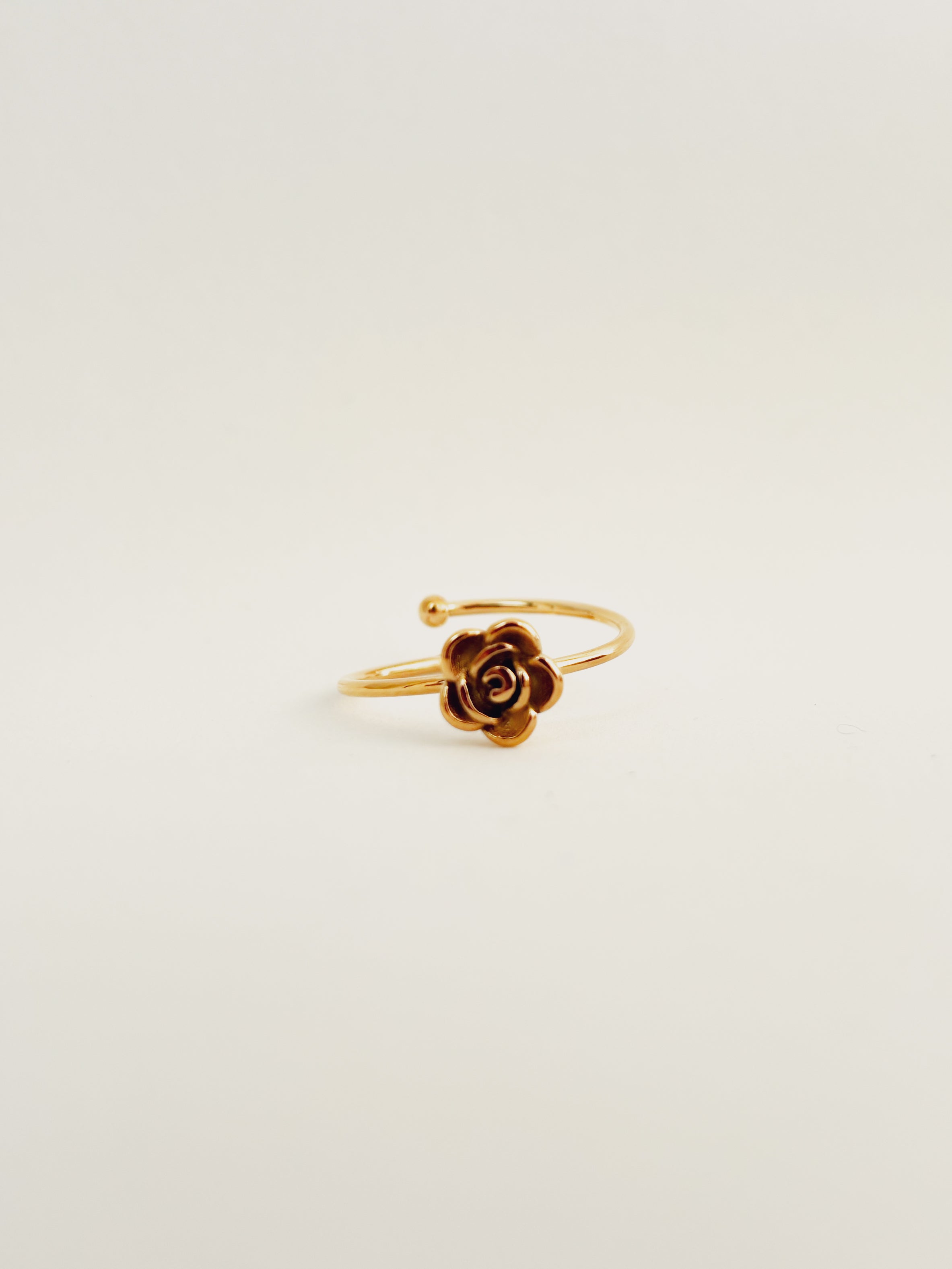 Anel Arvenna - Banhado a Ouro 18K