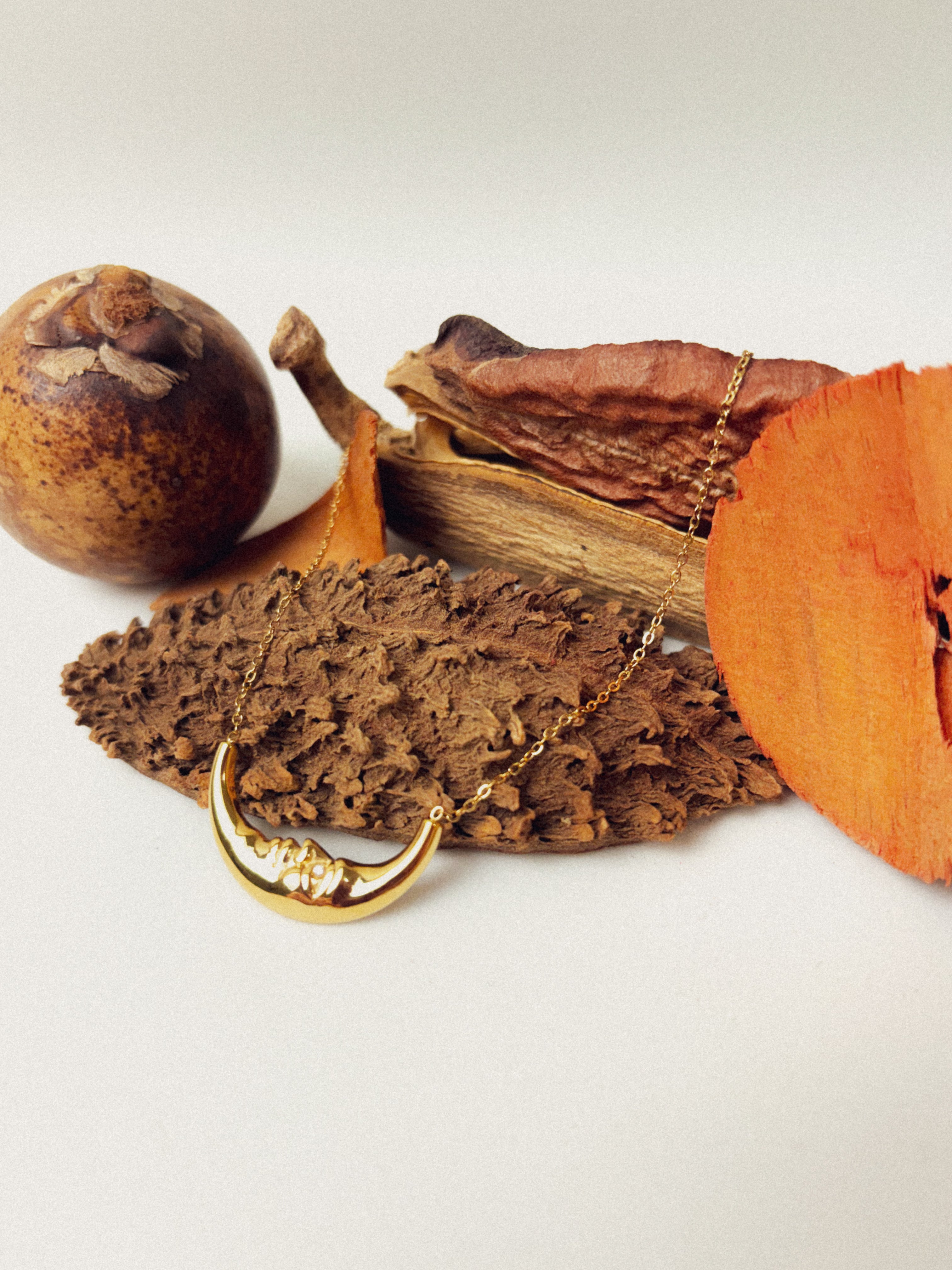 Colar Aurenix - Banhado a Ouro 18K