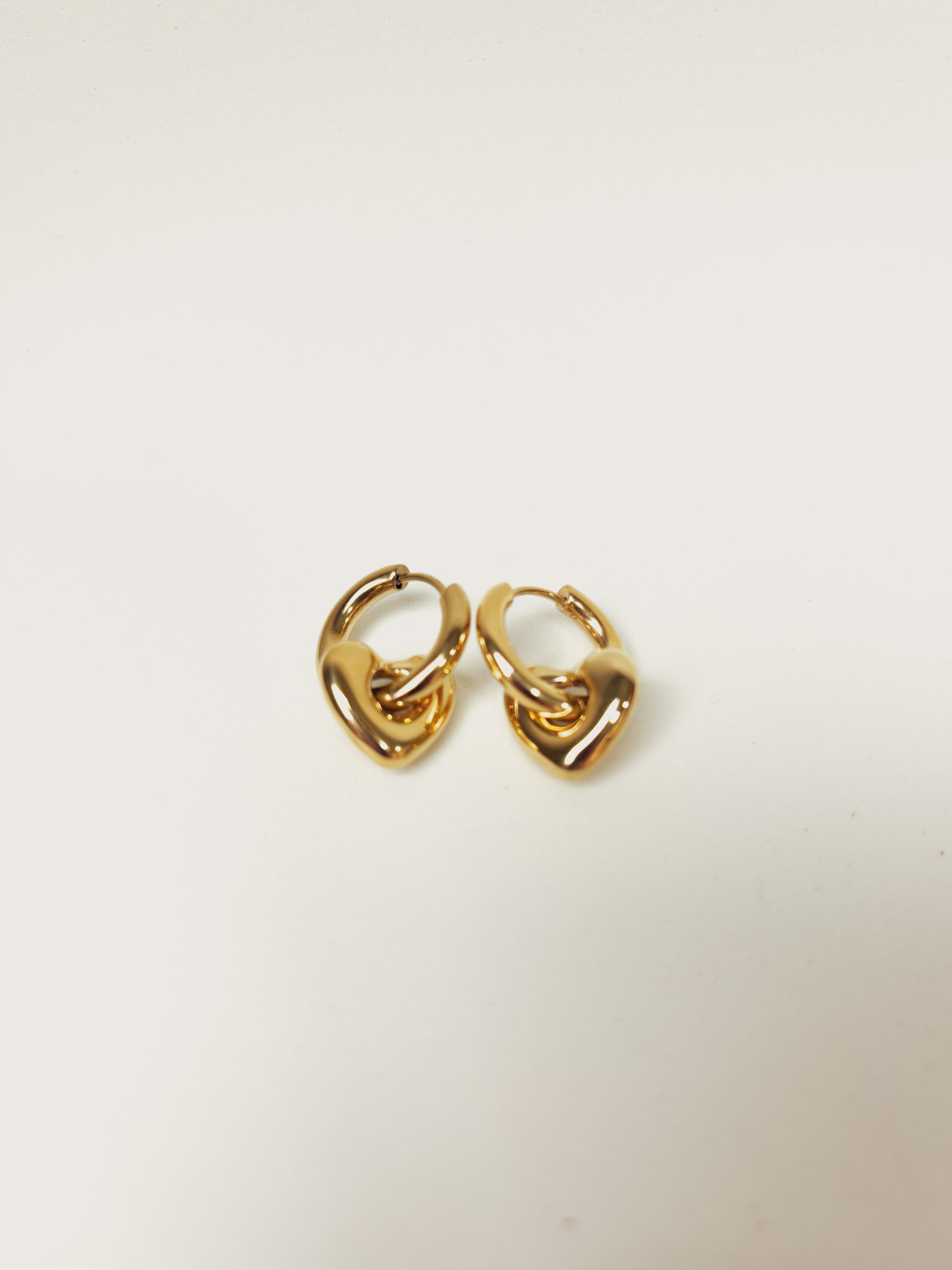 Brinco Veylora - Banhado a Ouro 18K