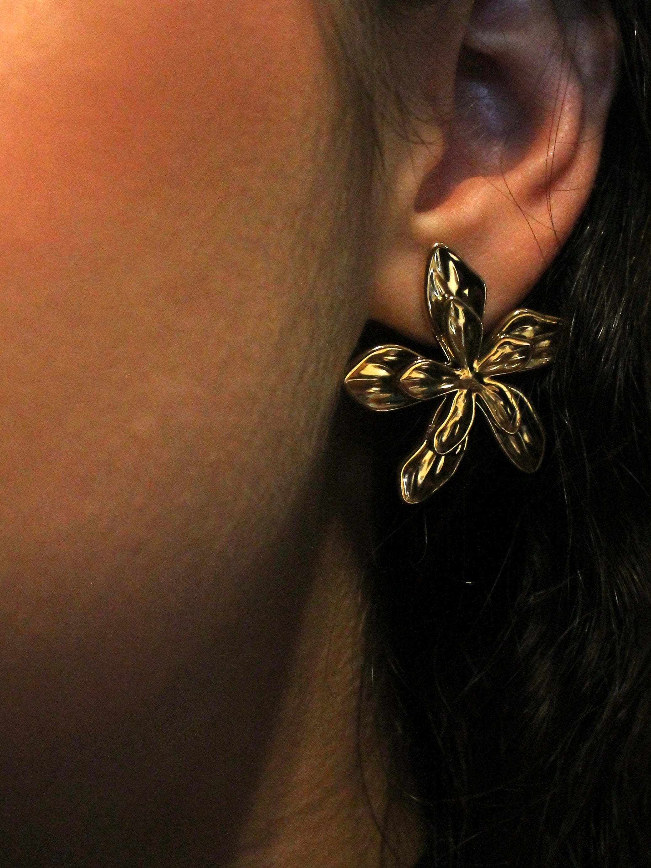 Brinco Lindy - Banhado a Ouro 18K